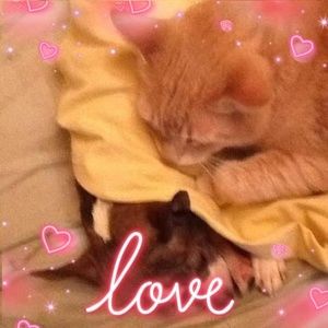 Meet your Posher, Candace robin